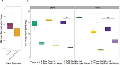 Precrop-treated soil influences wheat (Triticum aestivum L.) root system architecture and its response to drought
